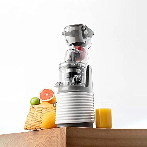 Electric Fruit Juicer