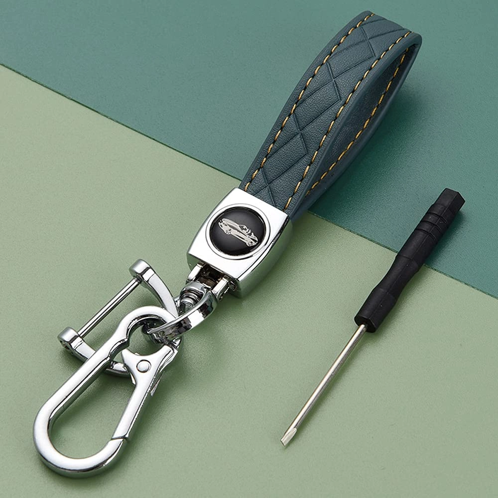 Car key case