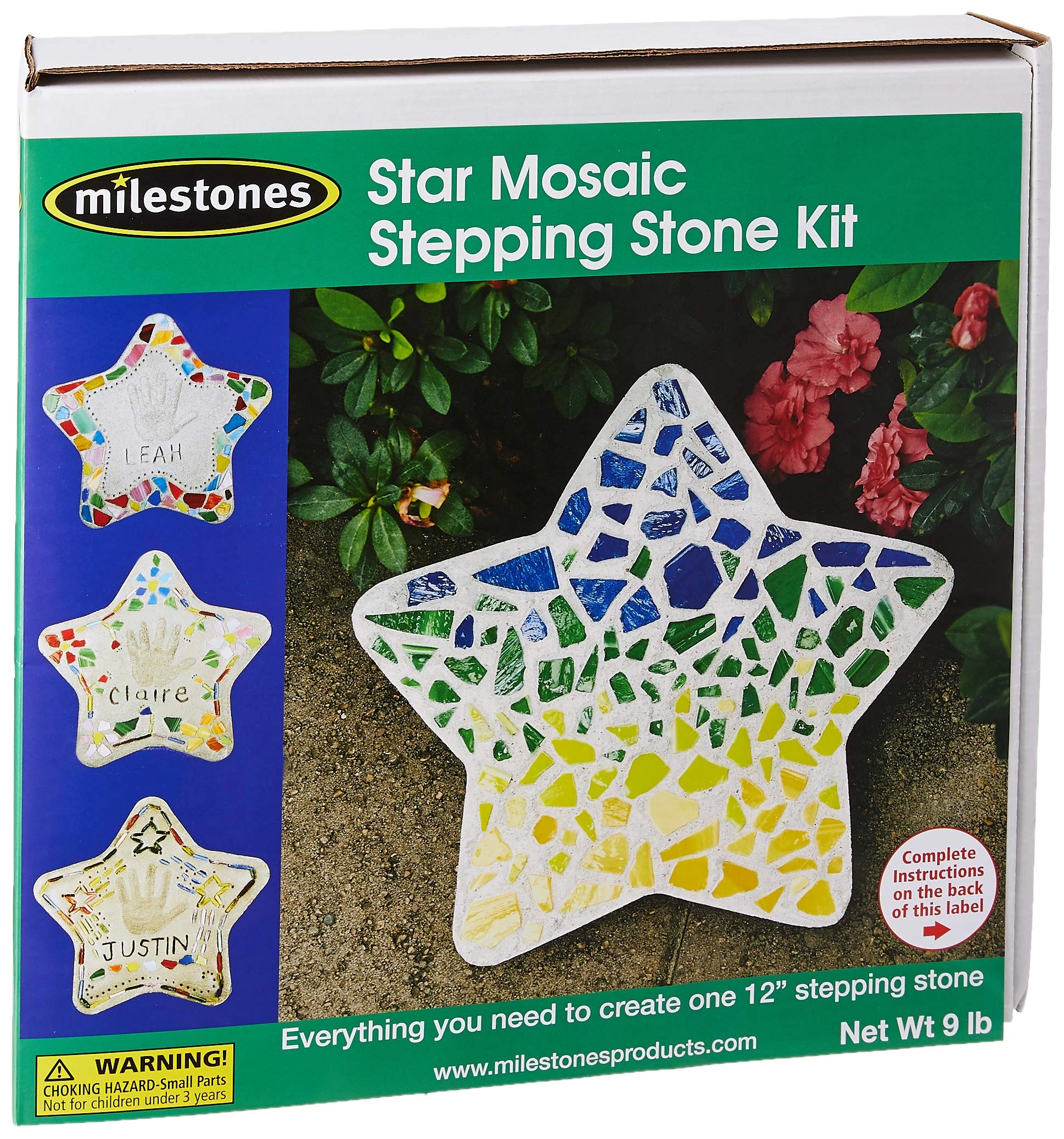 Milestones Mosaic Star Stone Kit