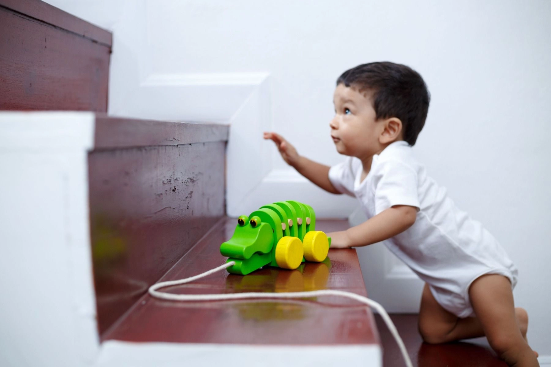 Dancing Alligator - 3 +