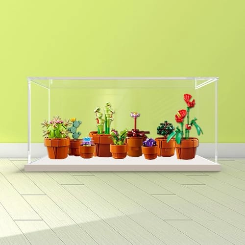 Acrylic Display Case