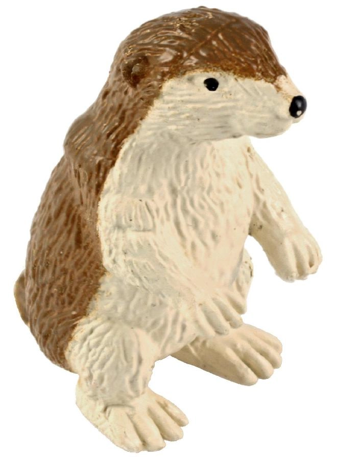 Desert TOOB - 3 years+ 12 pieces