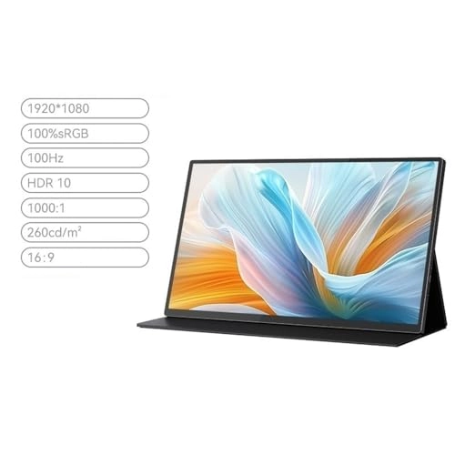 Portable Monitor - wpenshiDM125 18.5-inch 1080P