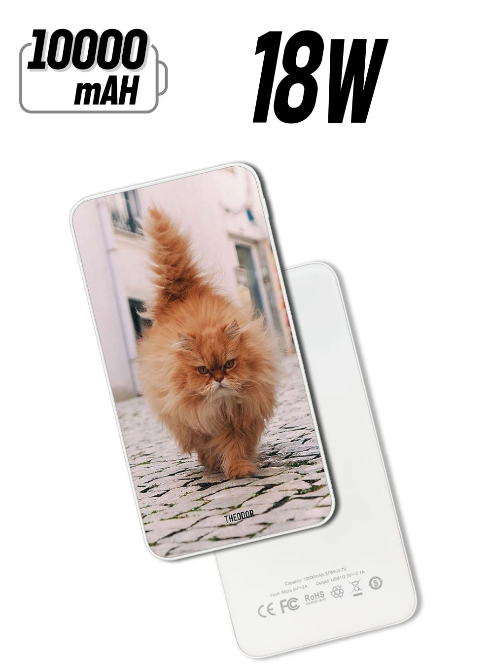 Theodor PPBA680 - 10000 Watt-hour