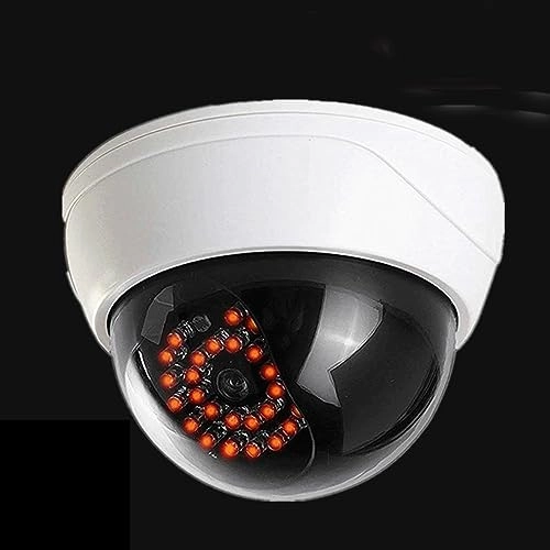 Dummy Dome Camera - Outdoor Pack