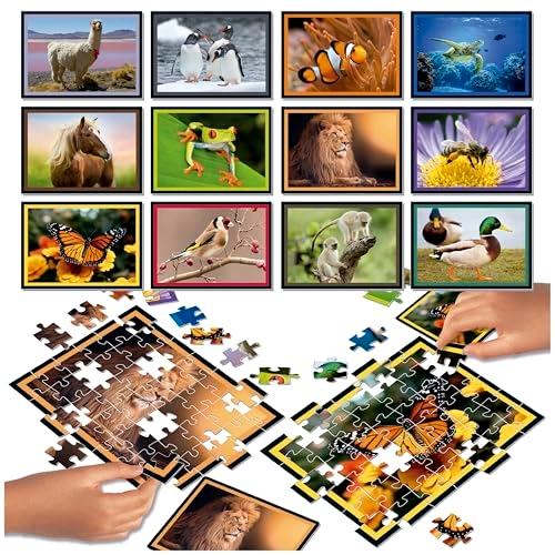 Nature 12-in-1 Puzzle (RTT-20119) - 504 pcs Set