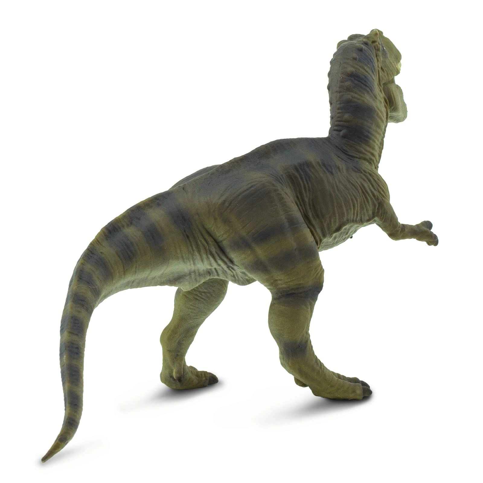 Dinosaur - Tyrannosaurus Rex