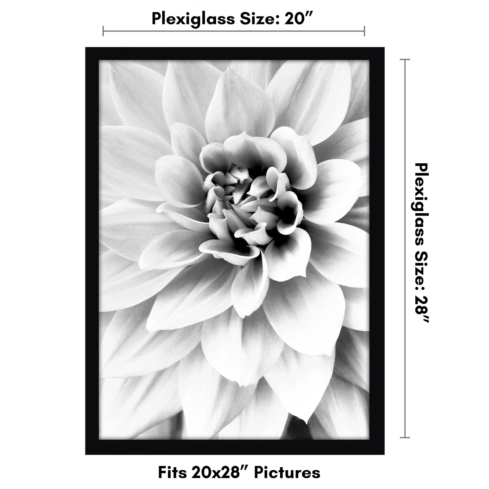 Picture Frame - 20x28 1.0 Count