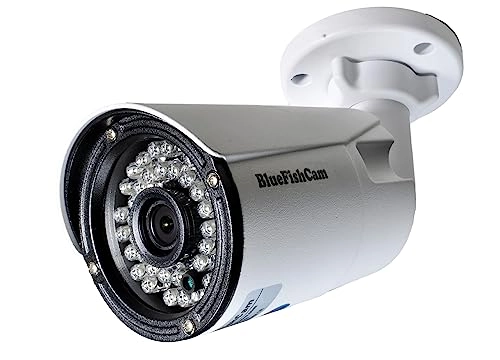 1000TVL Camera