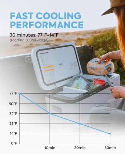 GO20 - 12V Dual Zone Portable