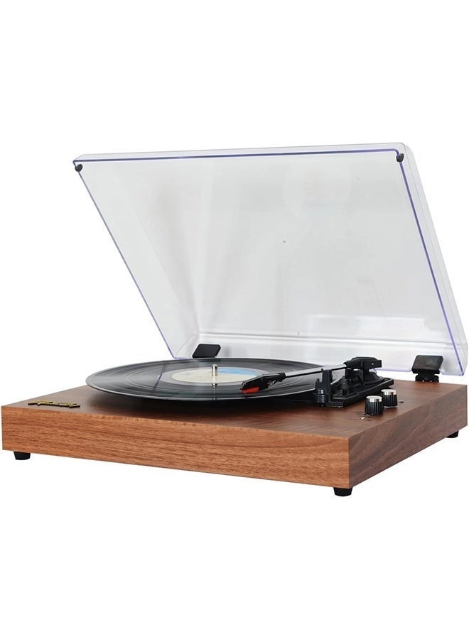 Vinyl Record Player
