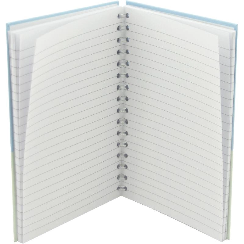 Notebook 19 X 26 cm Spiral - Grid 100 Sheets