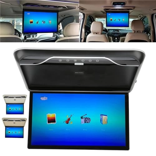 Roofmount LCD Monitor - 19in