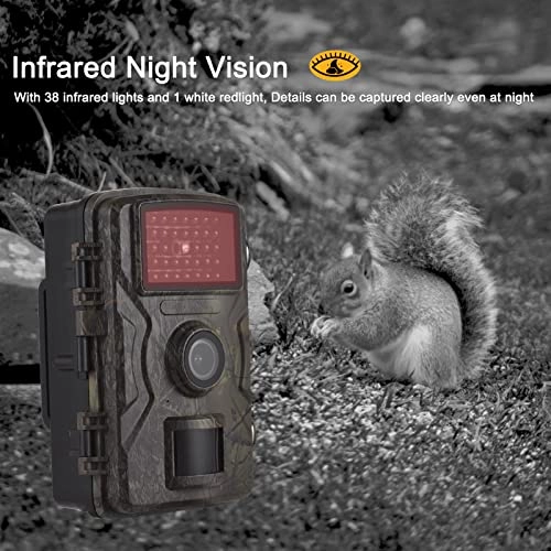 Trail Camera - 16MP