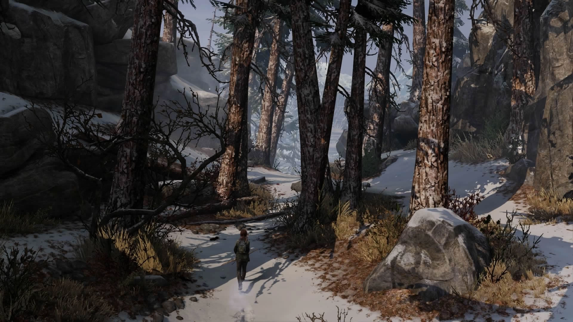 The Last of Us Part II - PlayStation 4