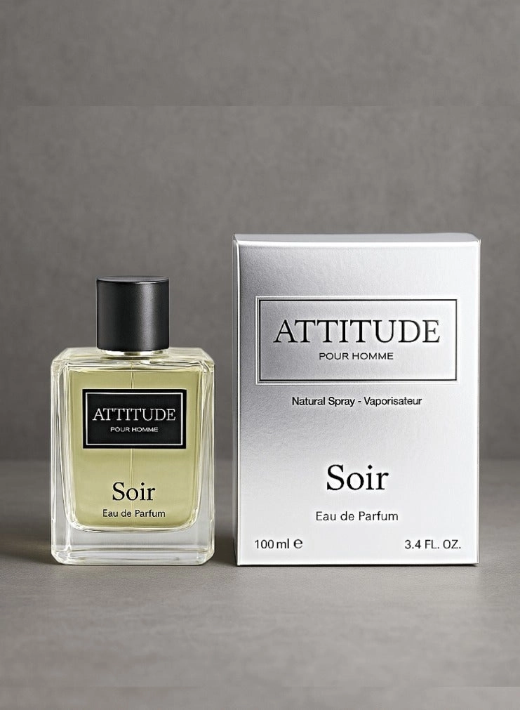 ATTITUDE Perfume For Men - Eau de Parfum 100ml