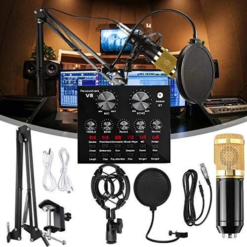BM-800 Wired Microphone Kit