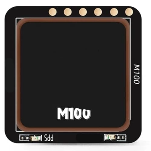 21x21mm Module