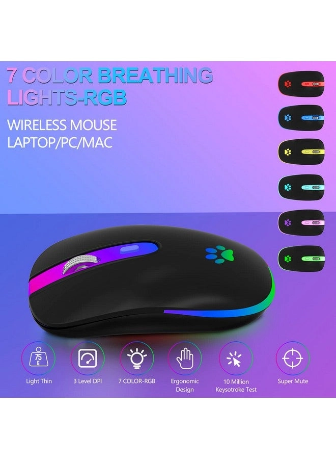 Rechargeable Optical Mouse - Wireless