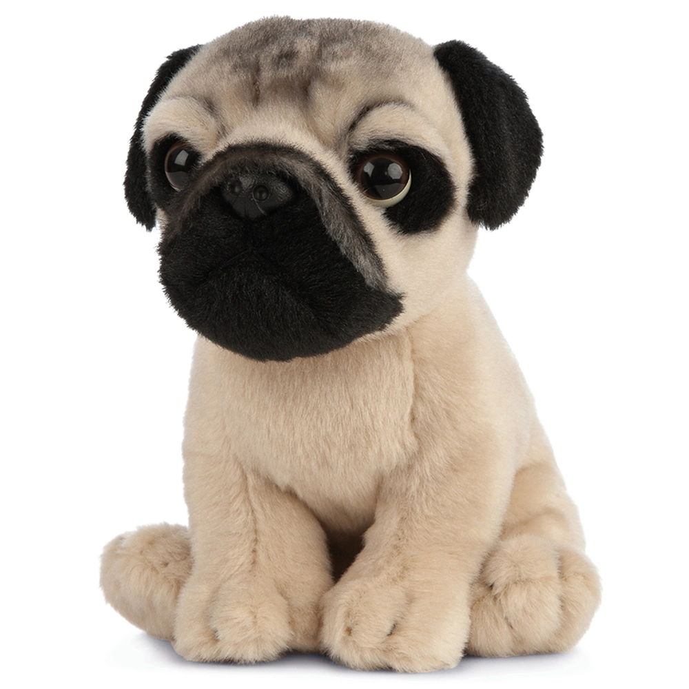 Pug Puppy - 18 cm Plush