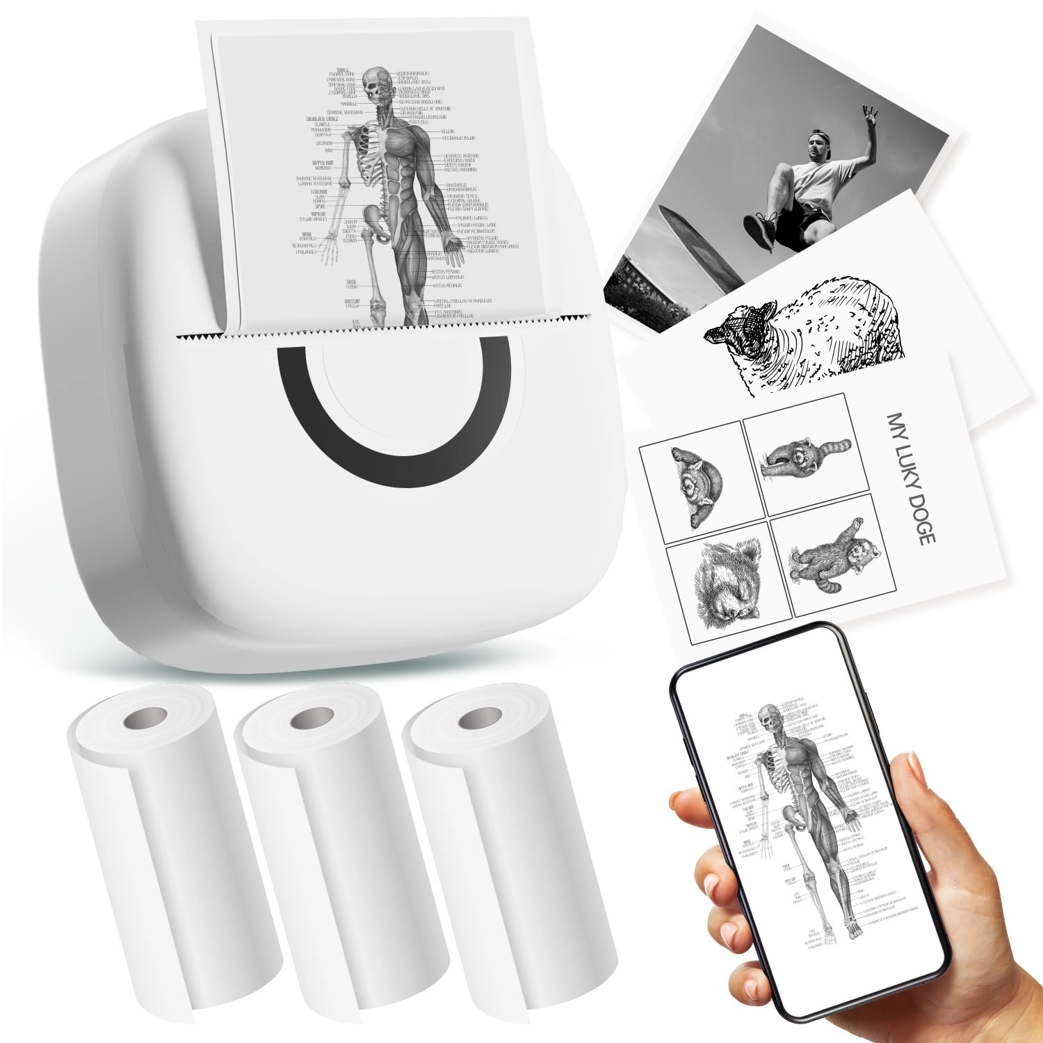 cabaro DE - 2.0 inches