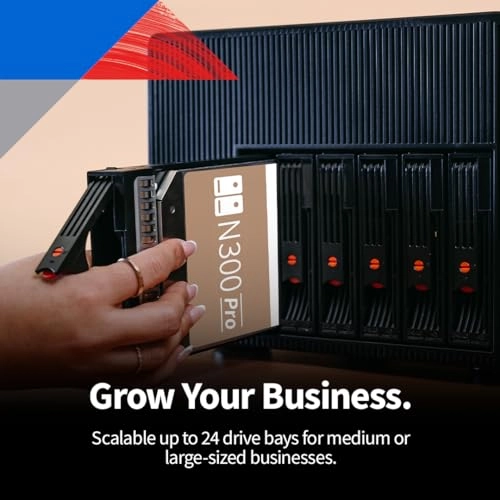 N300 PRO 24-Bay 12TB