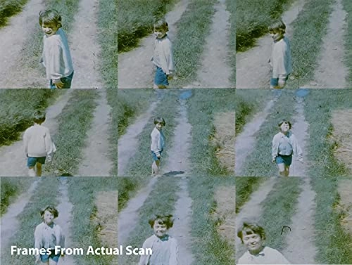 FS81 - USB Video Out TV cable