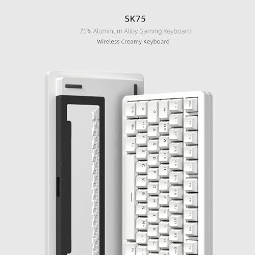 SK75 - DE Wired/Wireless