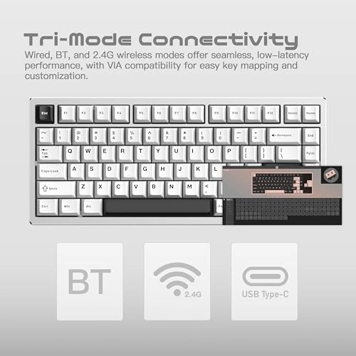 WOBKEY Rainy 75 - QWERTY Wired/Wireless