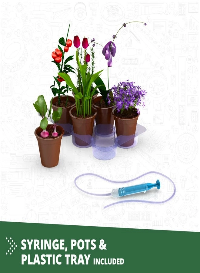 Botanic Laboratory Engineering - 9 years+