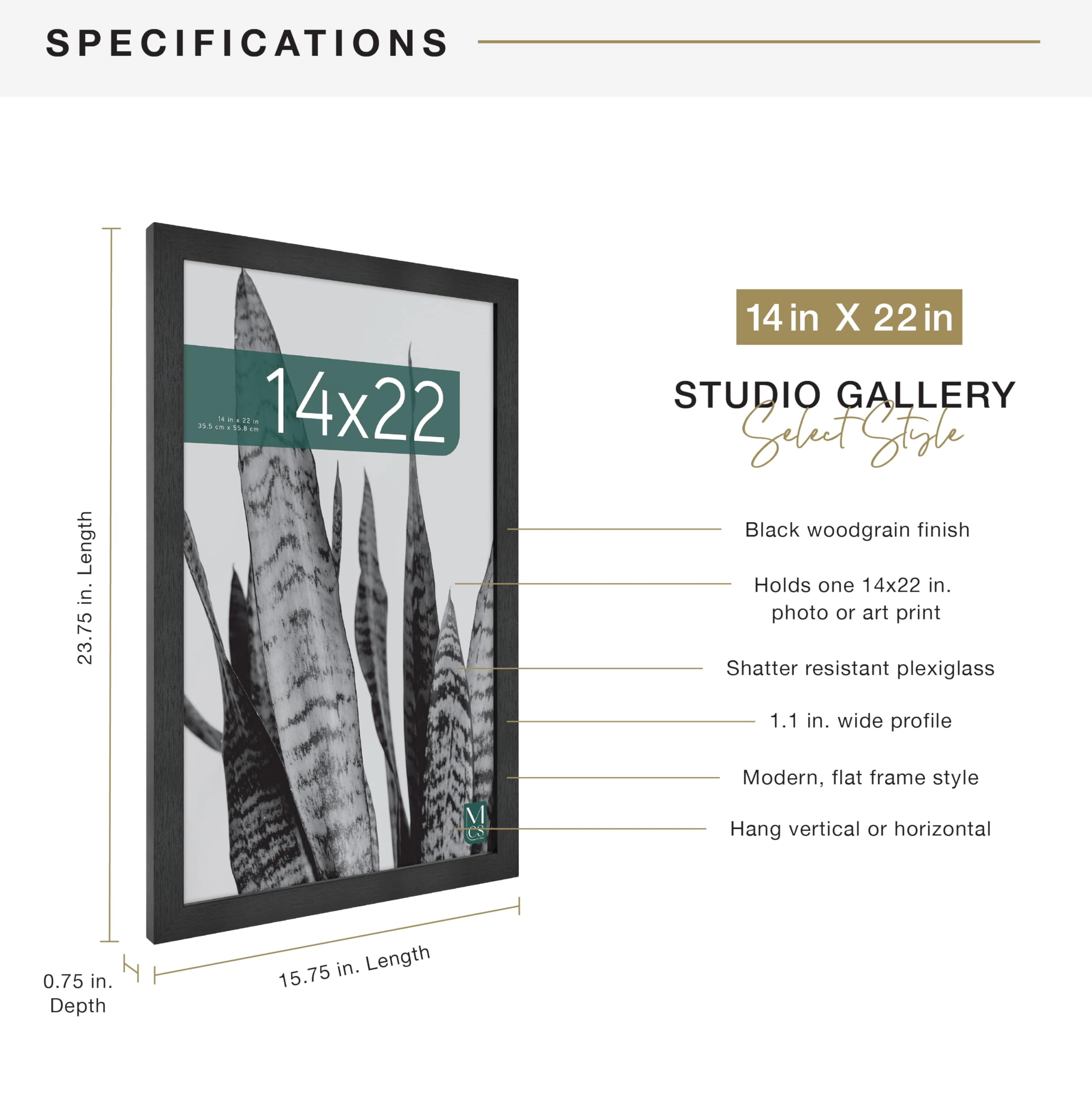Studio Gallery - 14x22 1