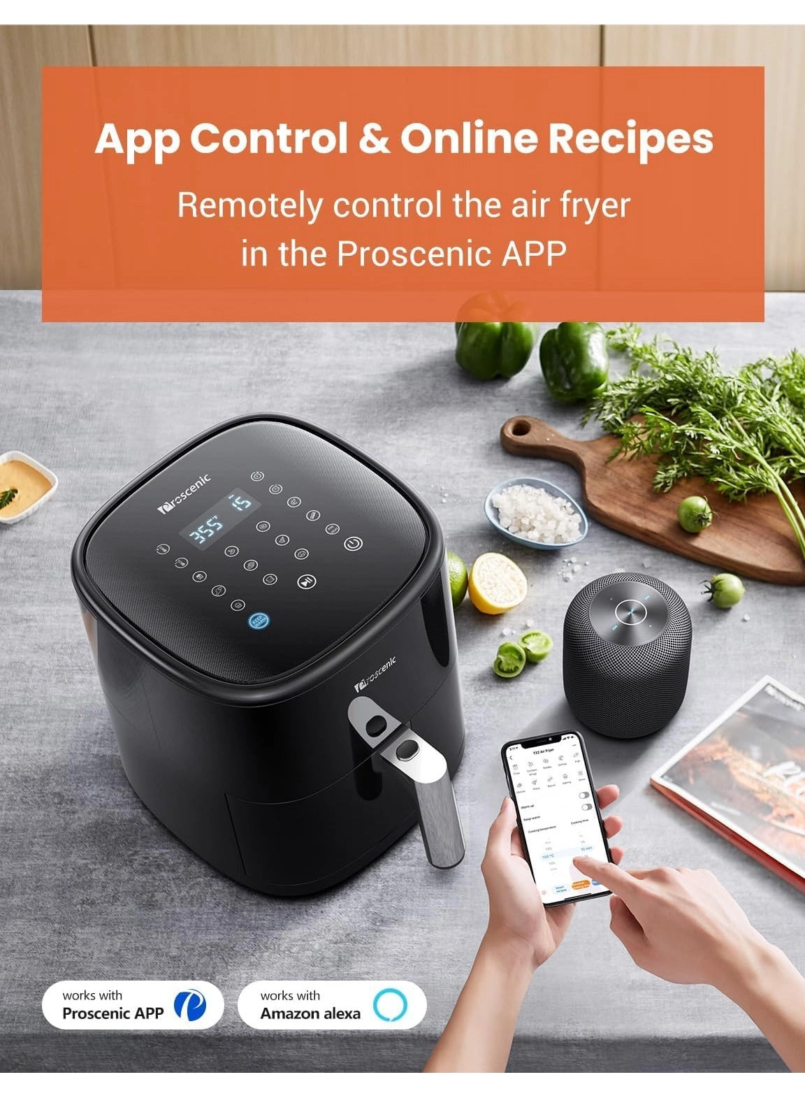 Air Fryer T22