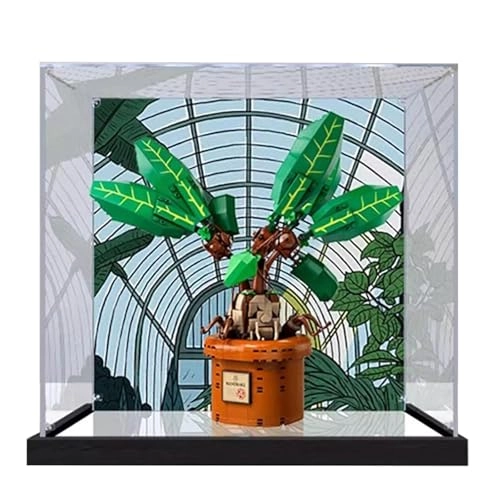 Acrylic Display Case - 30 x 30 x 30 cm Background