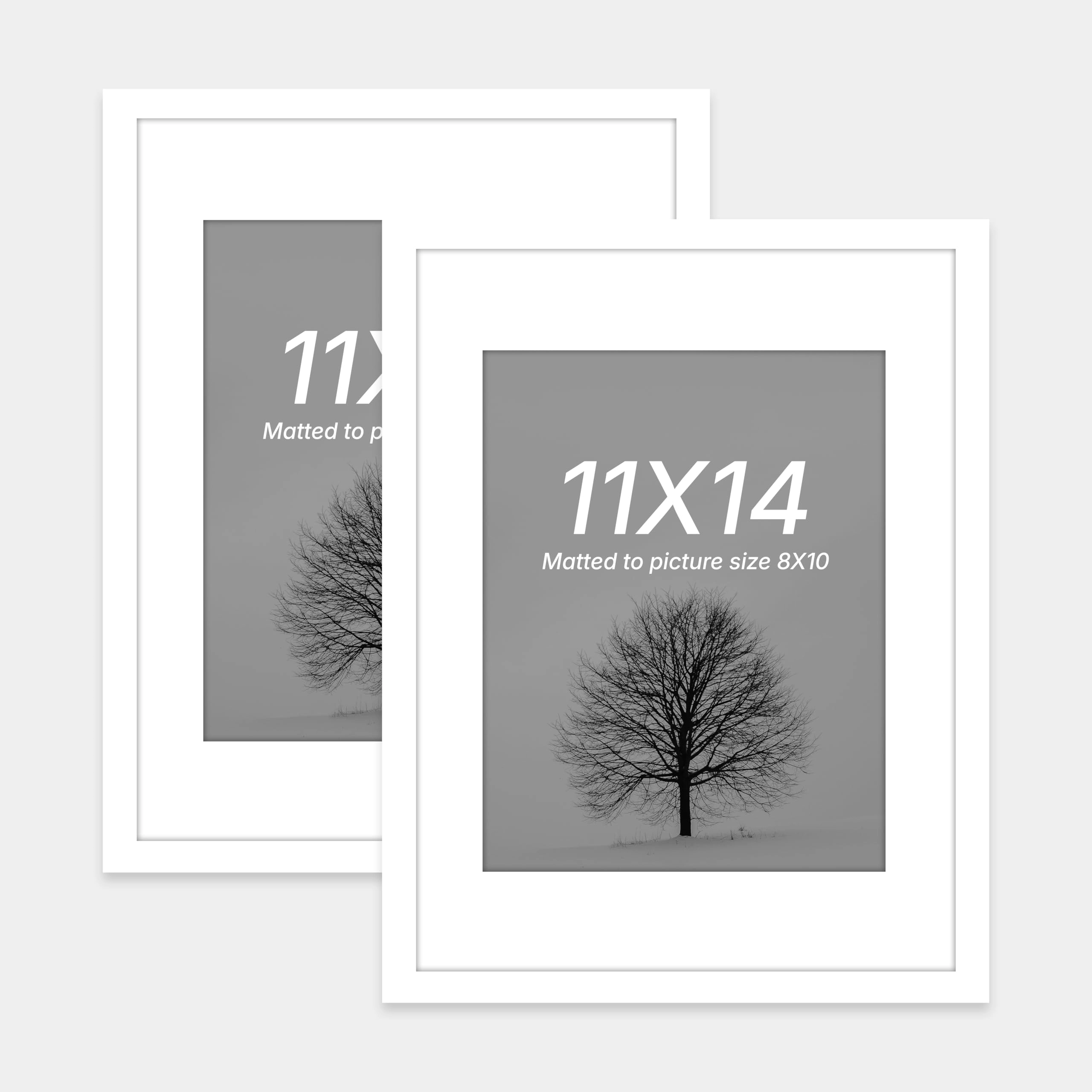 Document Frame - 11x14 Inch