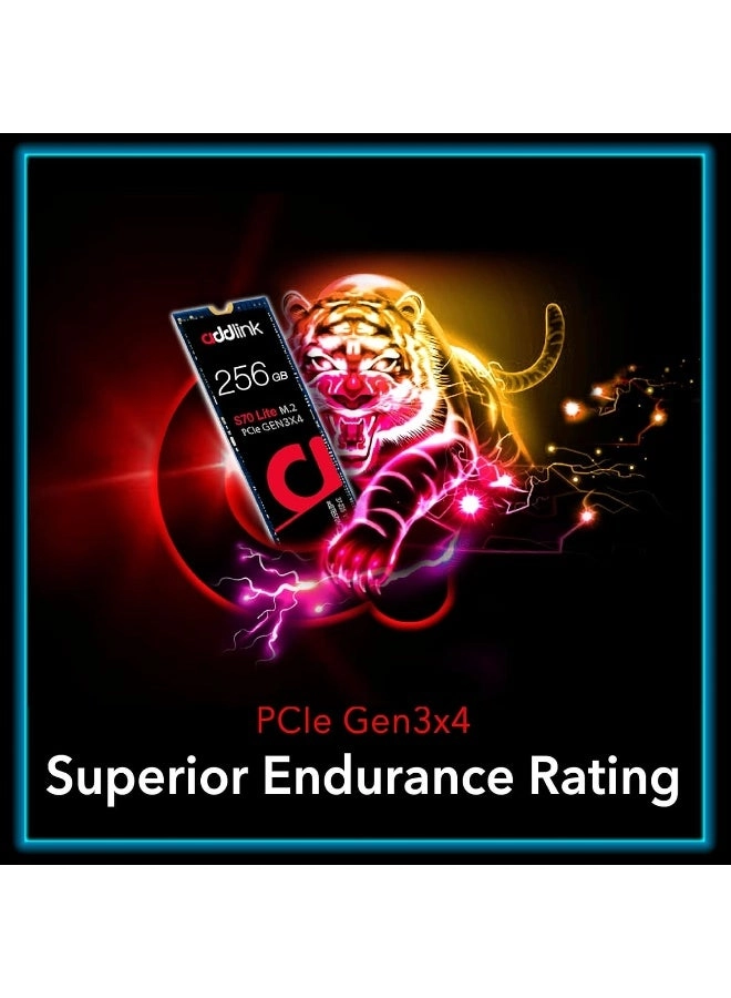 ad256GBS70LTM2P - 256 GB M.2 2280