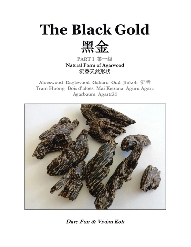 Partridge Publishing Singapore The Black Gold Part I. - Dave Fun 58 pages