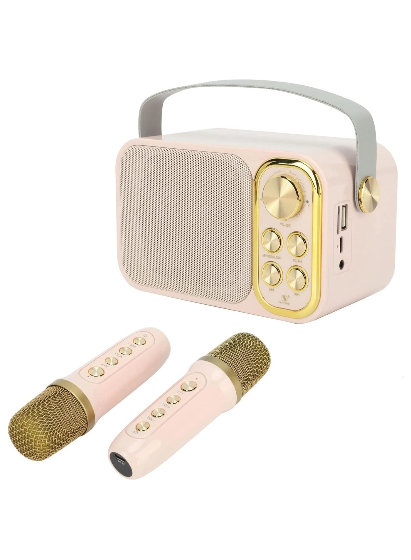 Outdoor Party Vocal Machine - 2 microphones