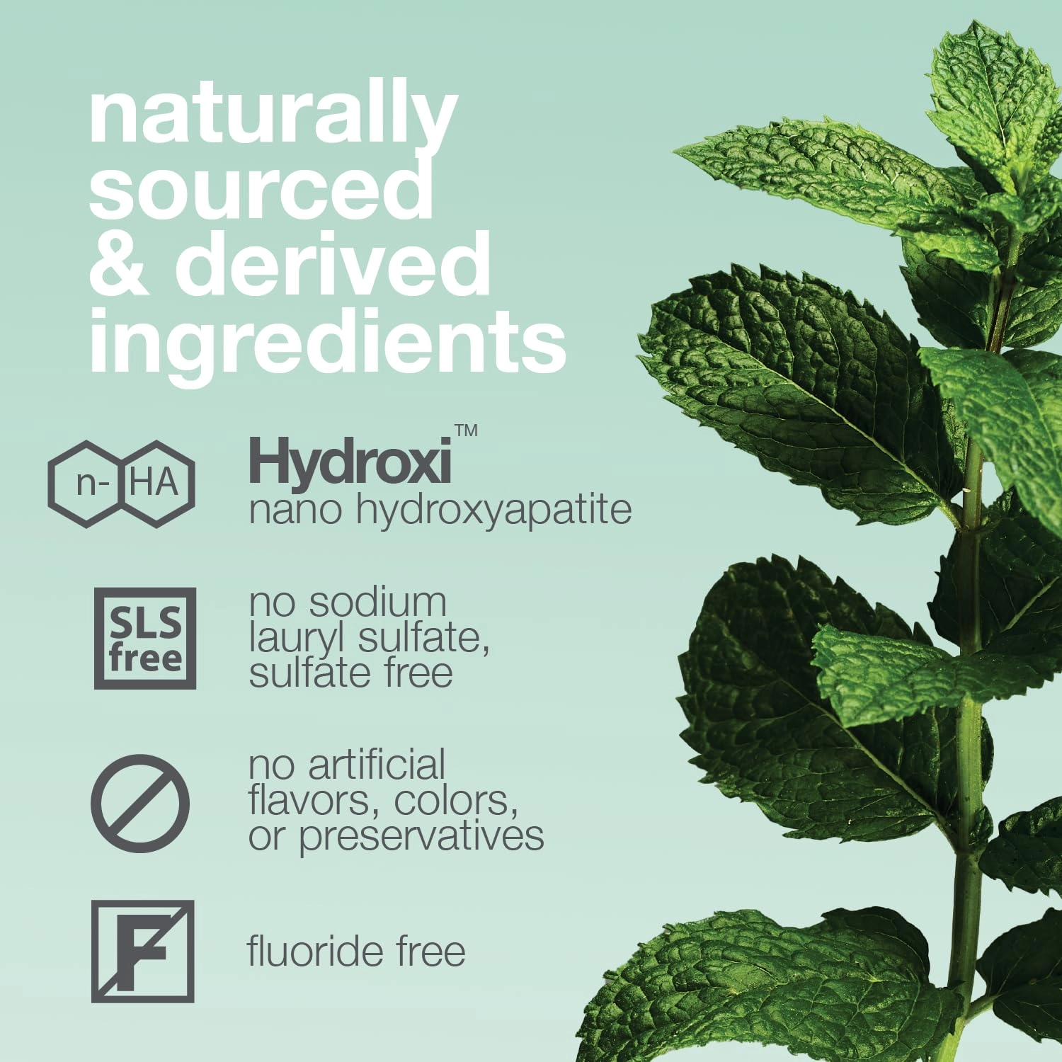 Hydroxi Nano Hydroxyapatite Whitening Mint Toothpaste Adult 4 oz