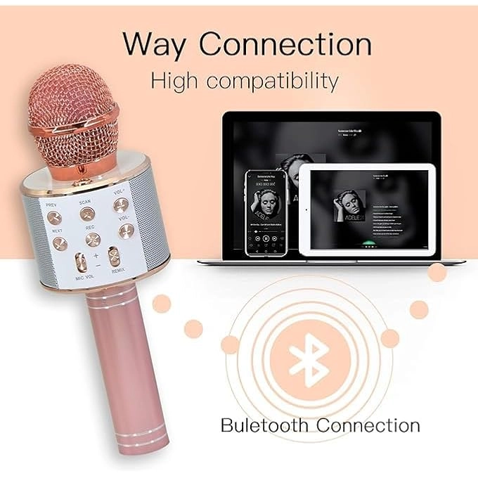 WIRELESS BLUETOOTH MICROPHONE