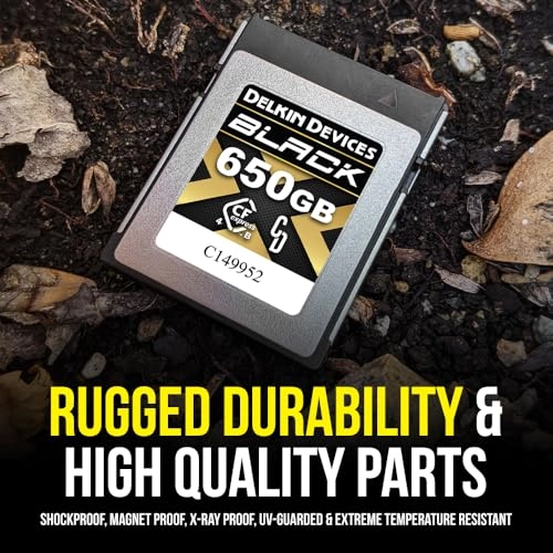 CFexpress 4.0 Type B - 650GB