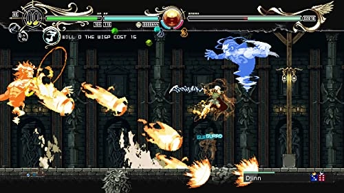 Record of Lodoss War: Deedlit in Wonder Labyrinth - PlayStation 5