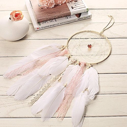 Dreamcatcher - Siderosphere, feathers, lines, wood beads.