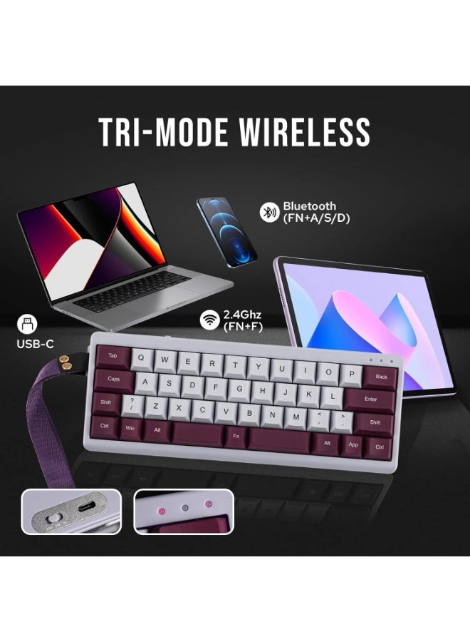 TH40 - 40% Wired/Wireless