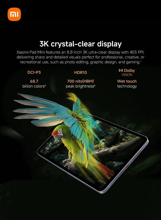 Pad Mini 8.8" Wi-Fi 12GB RAM 512GB