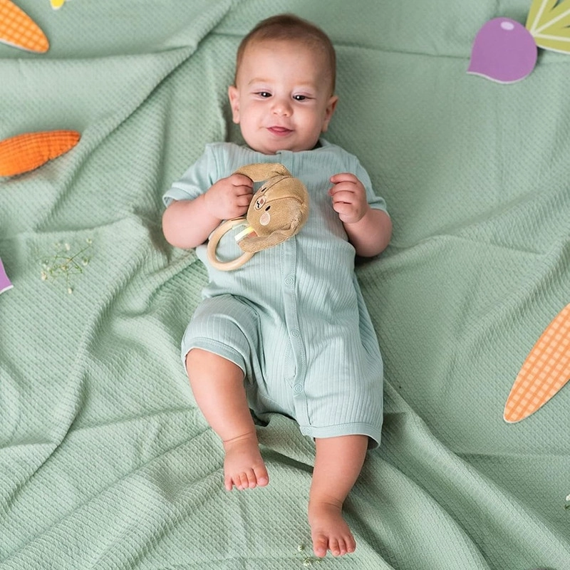 Rylee Musical Bunny - 0 Months & Above ultra-soft fabric