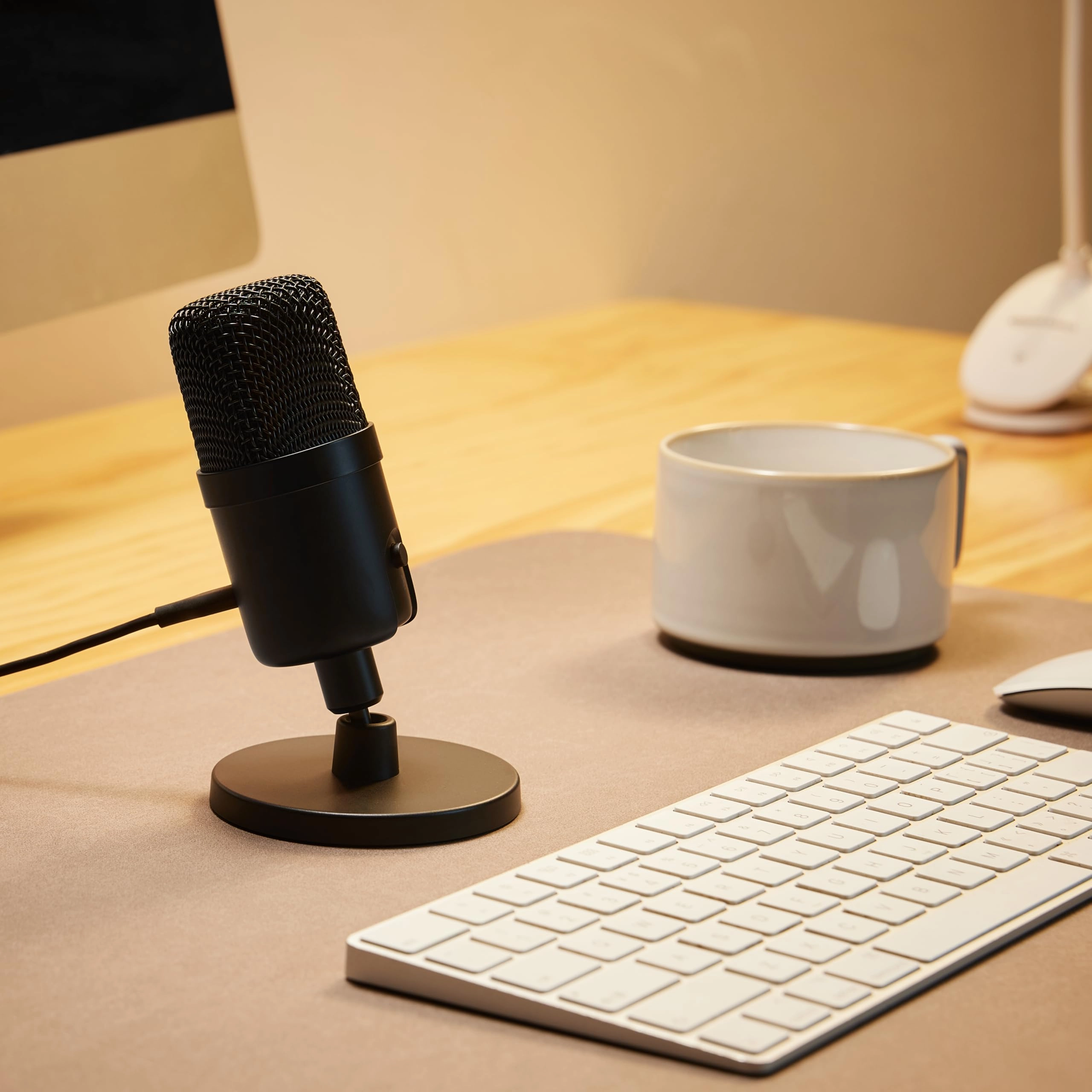 Mini USB Condenser Microphone