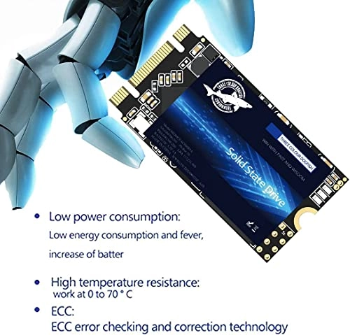 M.2 SATA SSD - 4000 GB M.2 2242