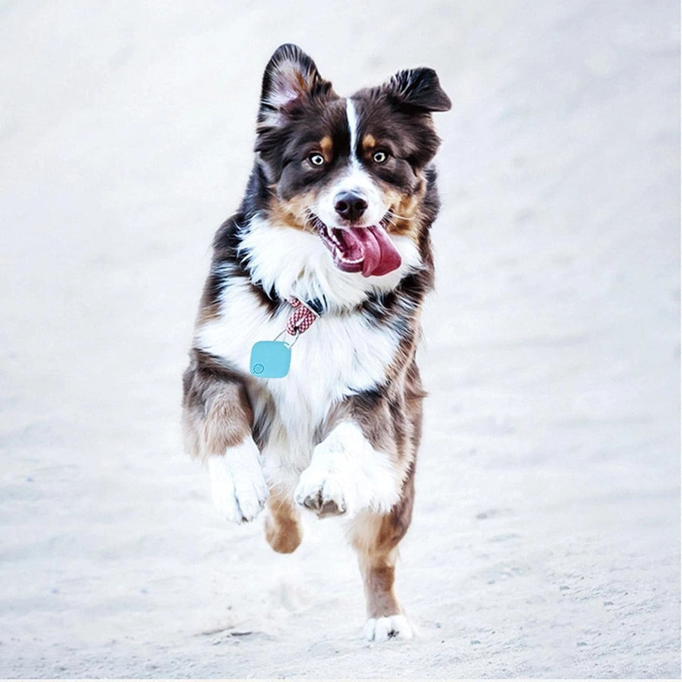 GPS Tracker - 1 piece(s)