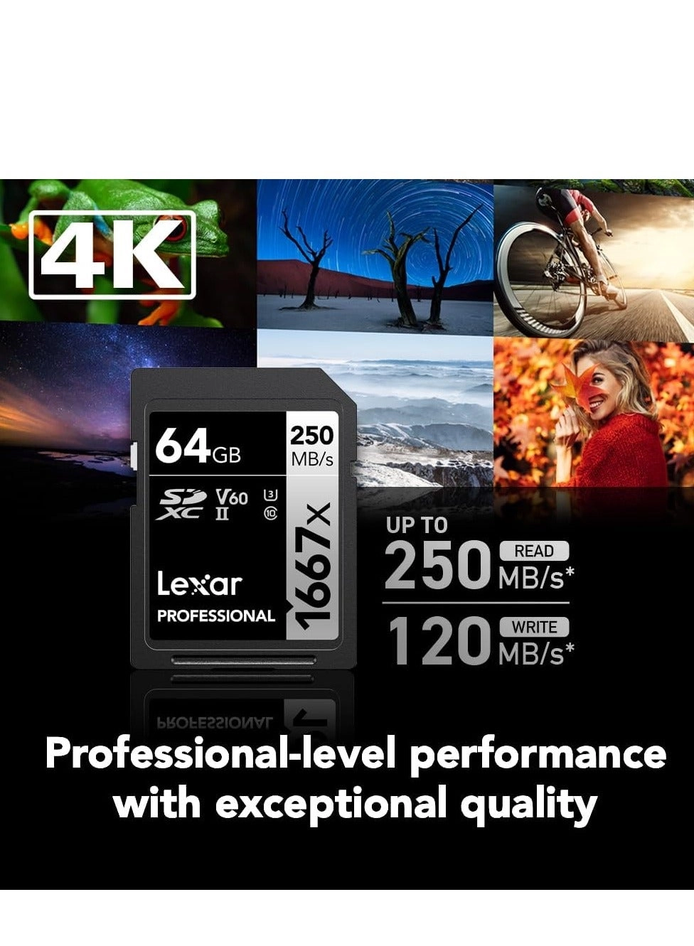 Professional SDHC/SDXC UHS-I U3 64GB