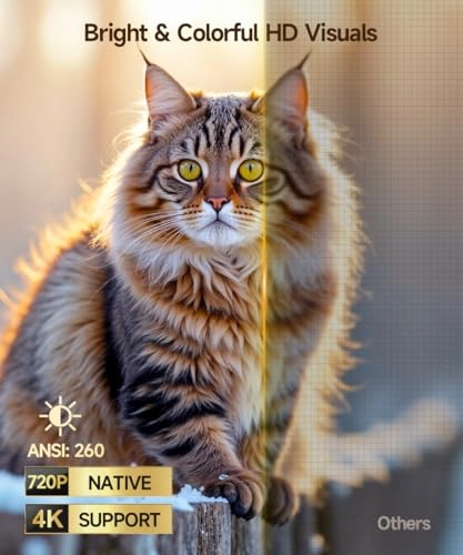 Freestyle HY300 200 ANSI